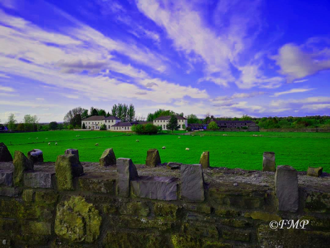Protect Ardagh House, Demesne, and the Ardagh Neighbourhood Park